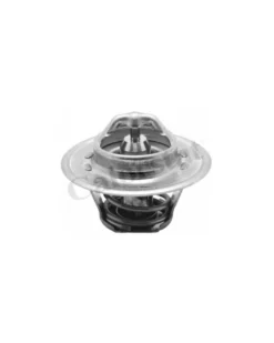 Thermostat, liqiuide de refroidissement CALORSTAT by Vernet Ref : TH5962.88J