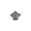 Thermostat, liqiuide de refroidissement CALORSTAT by Vernet Ref : TH6843.91J
