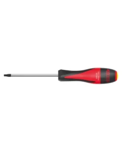 Tournevis TORX T25, ULTIMATE, L.100 mm - KSTOOLS