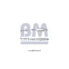 Catalyseur BM CATALYSTS Ref : BM80114H