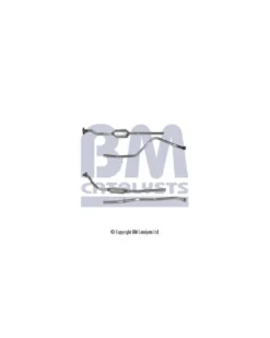 Catalyseur BM CATALYSTS Ref : BM80078H
