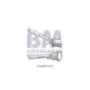 Catalyseur BM CATALYSTS Ref : BM80307H