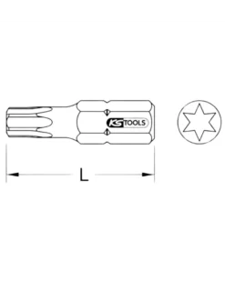 Embout tournevis à frapper, TORX®, T30 - KS TOOLS