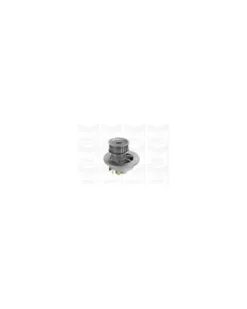 Pompe à eau, refroidissement du moteur MGA Ref : PA1061