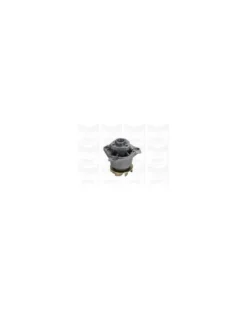 Pompe à eau, refroidissement du moteur MGA Ref : PA1041