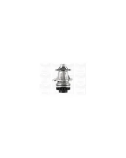 Pompe à eau, refroidissement du moteur MGA Ref : PA1182