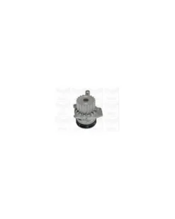 Pompe à eau, refroidissement du moteur MGA Ref : PA1089