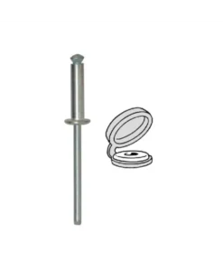 Rivet épanoui, cache rivet blanc, 4x16mm, 34pcs - Restagraf