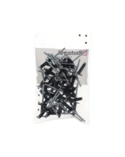 Rivet épanoui, noir, ø4.8 mm x 16 mm, x38 - Restagraf
