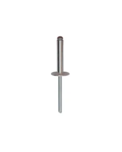 Rivet, tête large, aluminium, 4,8 x 25 mm, 38 pcs - Restagraf