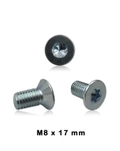 RKG - Vis de disque de frein Classe 4.8 - 08x17 mm