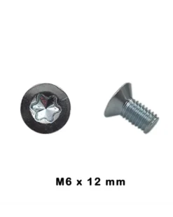 RKG - Vis de disque de frein Classe 4.8 - 06x12 mm