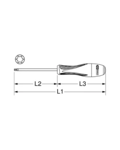 Tournevis TORX T30, ULTIMATE, L.100 mm - KSTOOLS