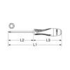 Tournevis TORX T8, ULTIMATE, L.100 mm - KSTOOLS