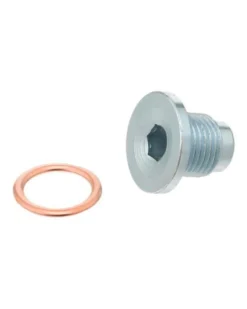 Vis de carter de vidange avec joint compatible Peugeot, Citroen, Mini (OE : 031134-031139)